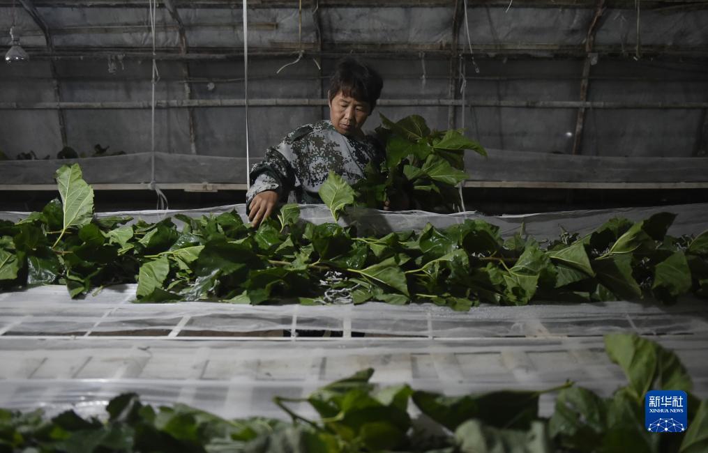 大红鹰游戏线路